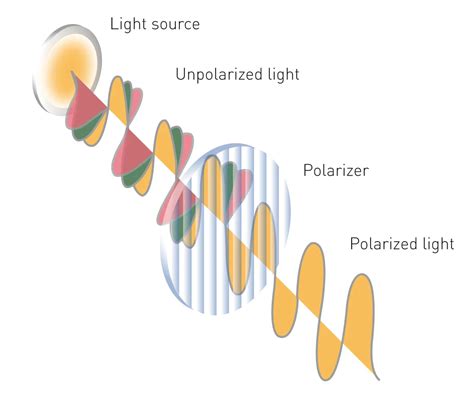 fluorescence polarization pdf